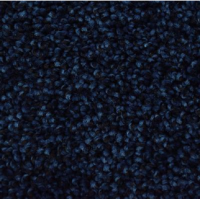 Minnesota indigo 0780